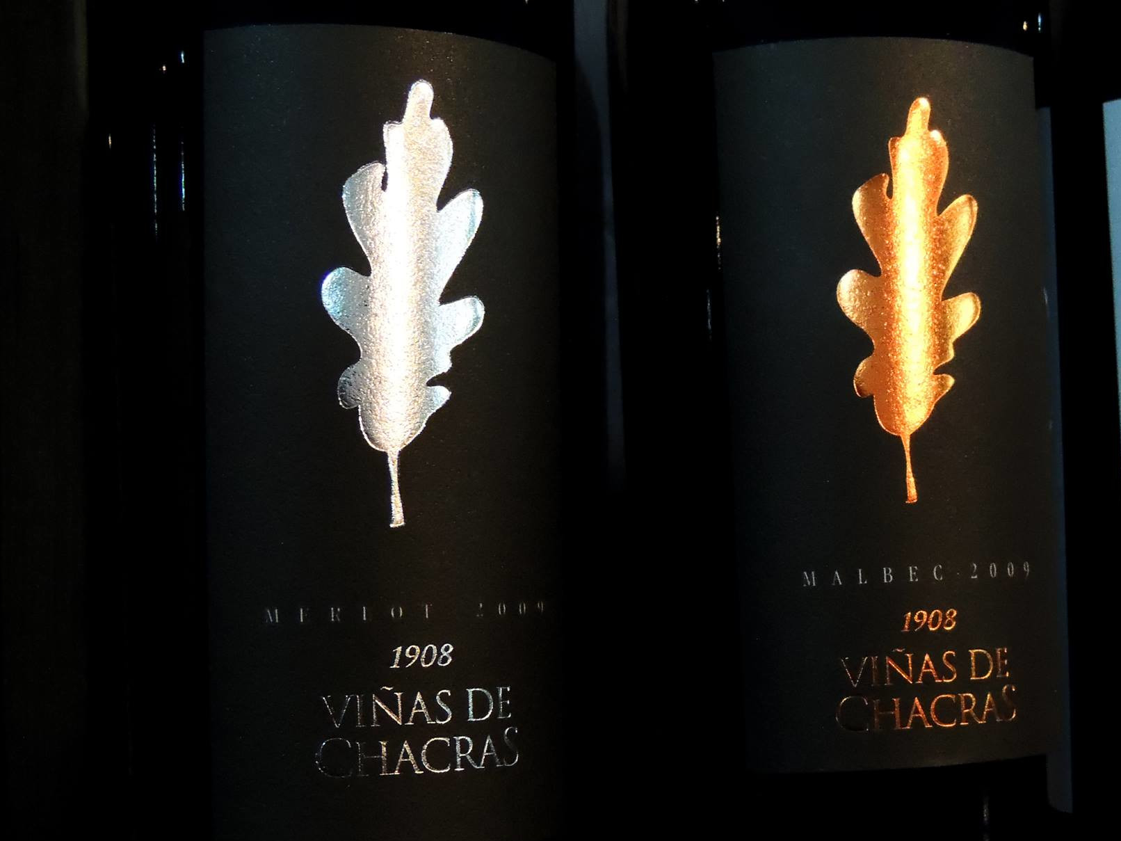 foto de Merlot 2009 Viñas de Chacras