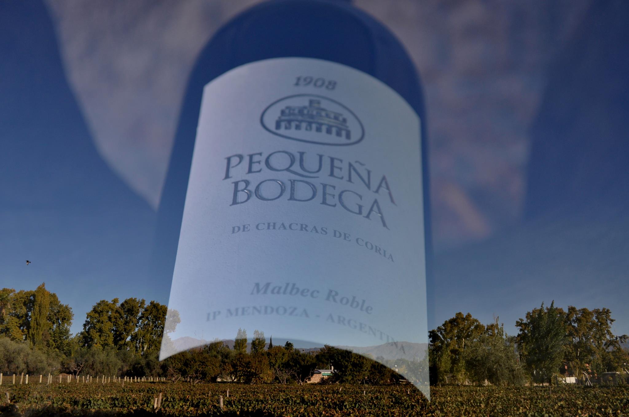 foto del Malbec Roble